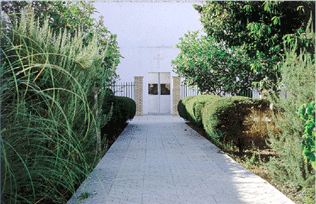 Vista del jardín