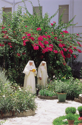 Vista del jardín