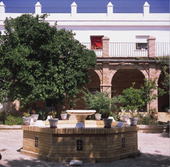 Vista de la fuente del claustro