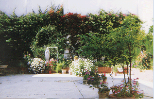 Vista del jardín